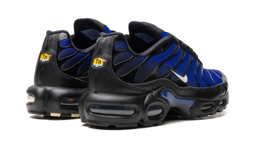 Nike Air Max AIR MAX PLUS 'Black'